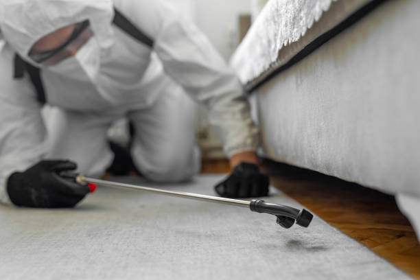 Professional Cockroach Control technician working in West Mayfield, PA